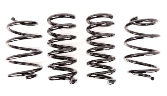 2015-23 Ford Mustang Lowering Springs